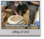 Latest Newsletter